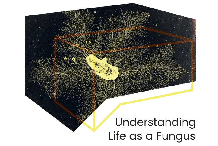Featured image of Understanding Life as a Fungus