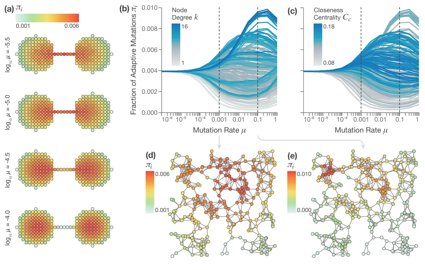 Featured image of How Network Structure Shapes Evolutionary Dynamics