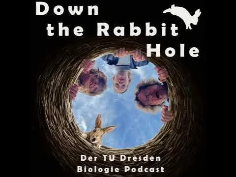 Featured image of New Podcast Episode featuring Dirk Brockmann: Survival of the Nettest – Why Nature Thrives on Cooperation