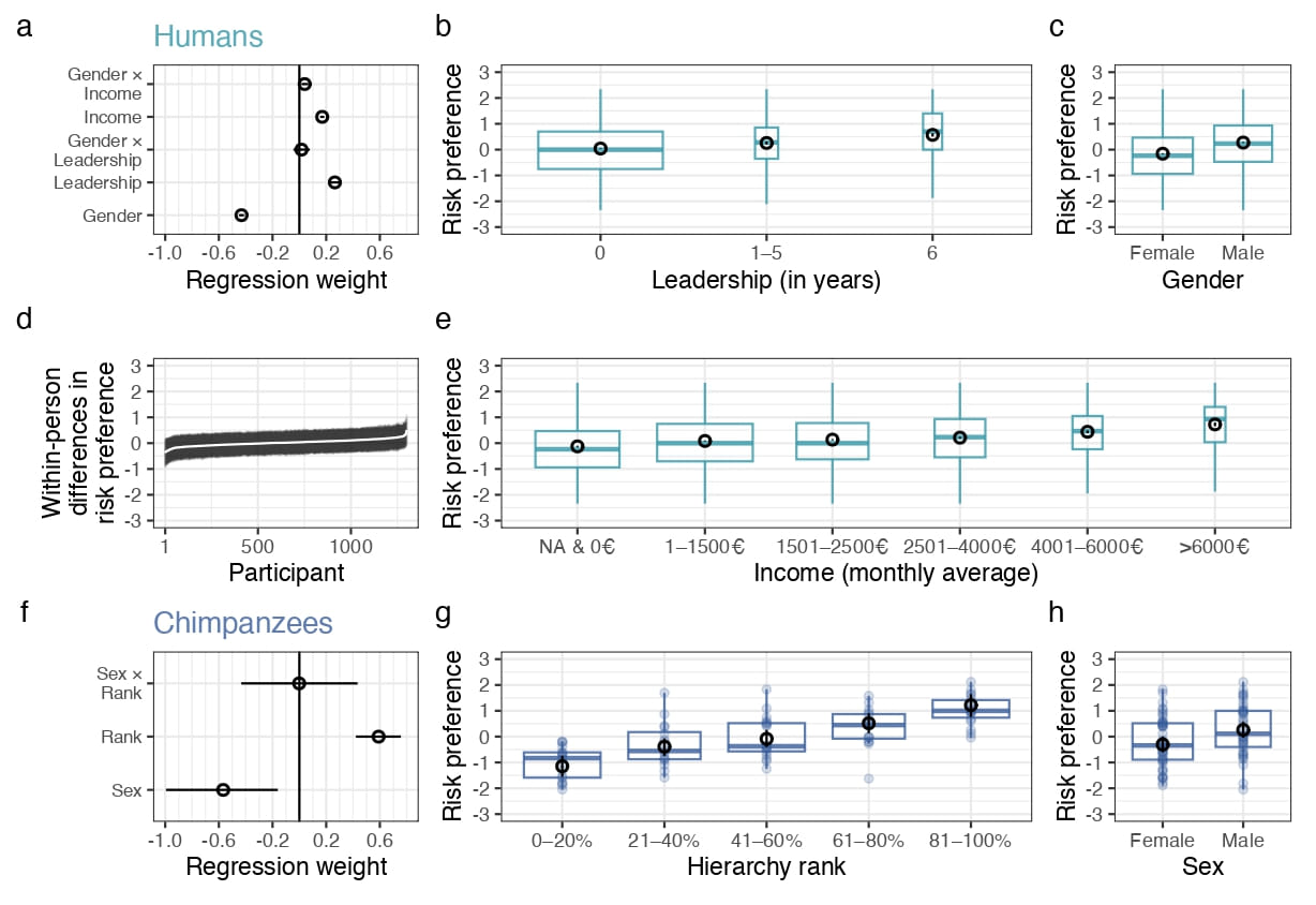 Risk taking is linked to social position in humans and chimpanzees