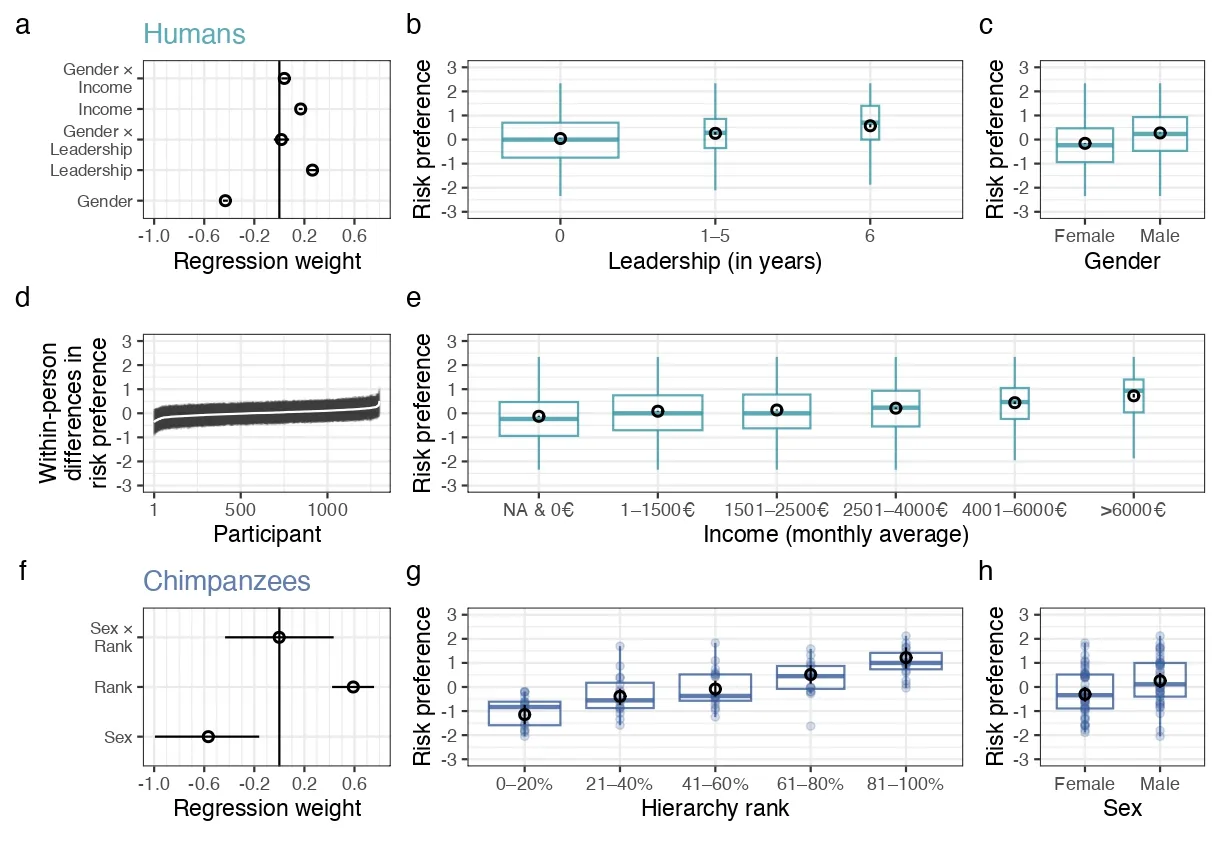 Featured image of Risk taking is linked to social position in humans and chimpanzees