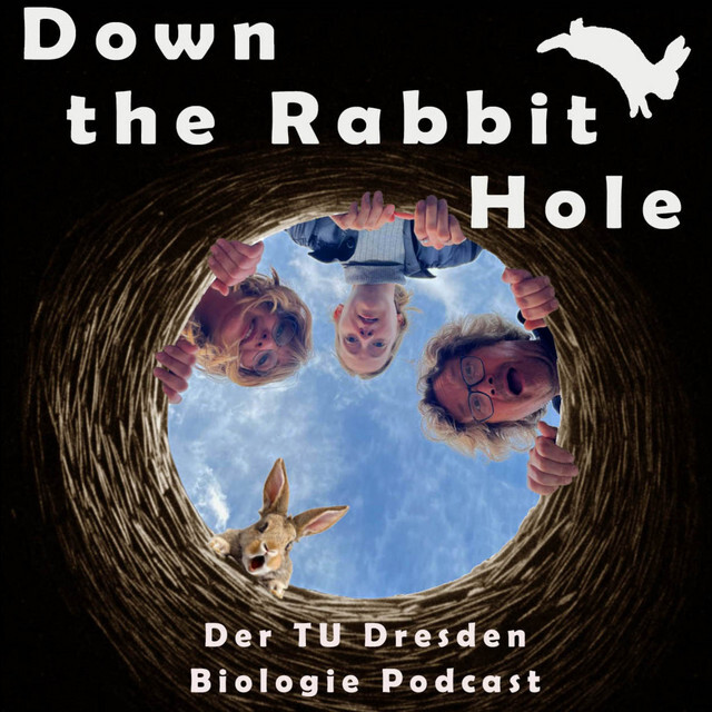 „Survival of the Nettest“ – Kooperation als treibender Evolutionsfaktor mit Prof. Dirk Brockmann