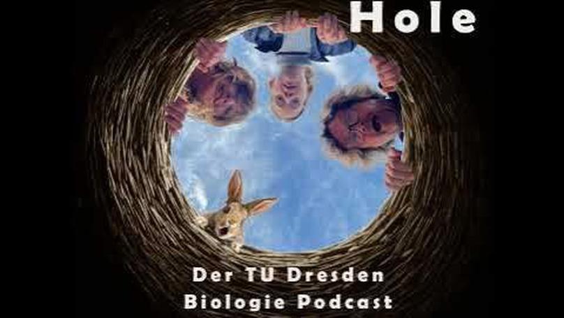 New Podcast Episode featuring Dirk Brockmann: “Survival of the Nettest” – Why Nature Thrives on Cooperation