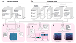 Preprint on decision-making and large language models