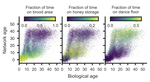 Just published: Social networks predict the life and death of honey bees