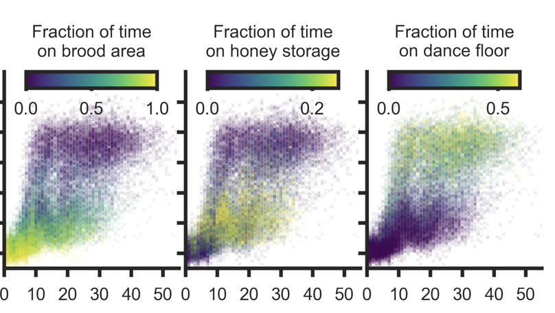Just published: Social networks predict the life and death of honey bees