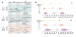 Preprint out: Potential benefits of delaying the second mRNA COVID-19 vaccine dose