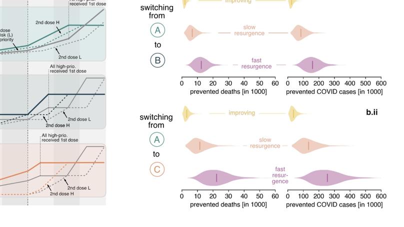 Preprint out: Potential benefits of delaying the second mRNA COVID-19 vaccine dose