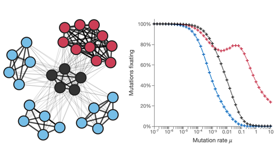 Clonal Interference in Heterogeneous Networks