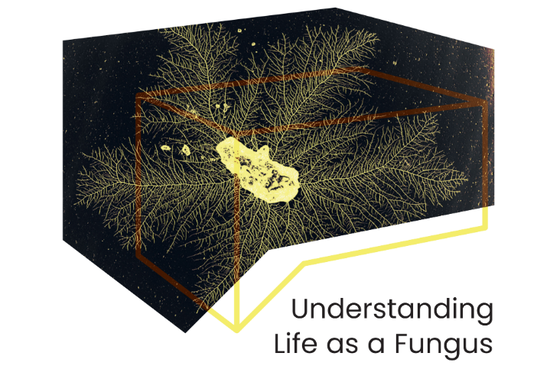 Understanding Life as a Fungus
