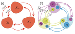 Natural human mobility patterns and spatial spread of infectious diseases