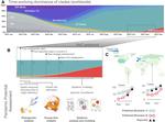 Enhancing global preparedness during an ongoing pandemic from partial and noisy data