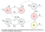 Hosts mobility and spatial spread of Rickettsia rickettsii