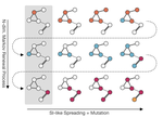 Origins of the Fittest: Clonal Interference in Heterogeneous Networks.
